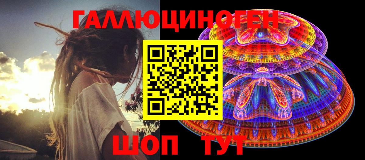Галлюциногенные грибы Magic Shrooms  Вход с VPN  Гатчина  Галлюциногенные грибы Psilocybine cubensis 
